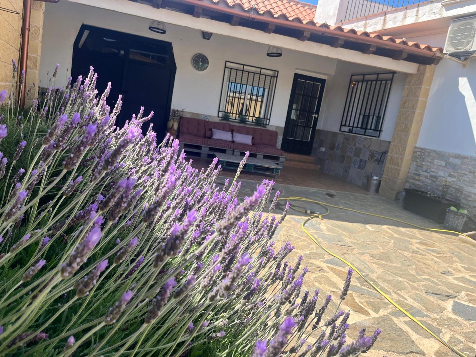 Casa Rural Valentina Almonacid de Toledo 外观 照片